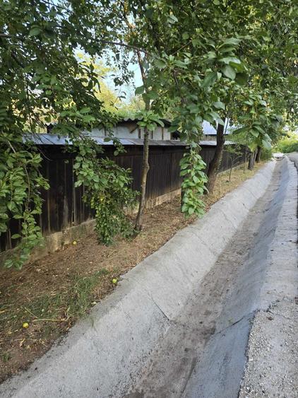 Casă cu 2 camere în Prunaru