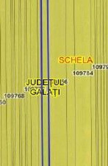 Teren de 9000 mp, în Schela