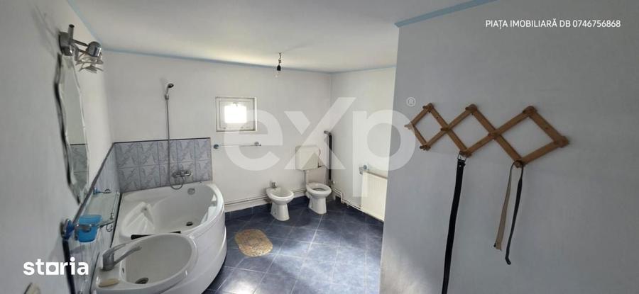 Vila Individuala Imensa + Casa de Oaspeti si Garaj Dublu | Teren 1.00 - 17