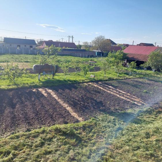 Casă cu 4 camere în Sânmihaiu German