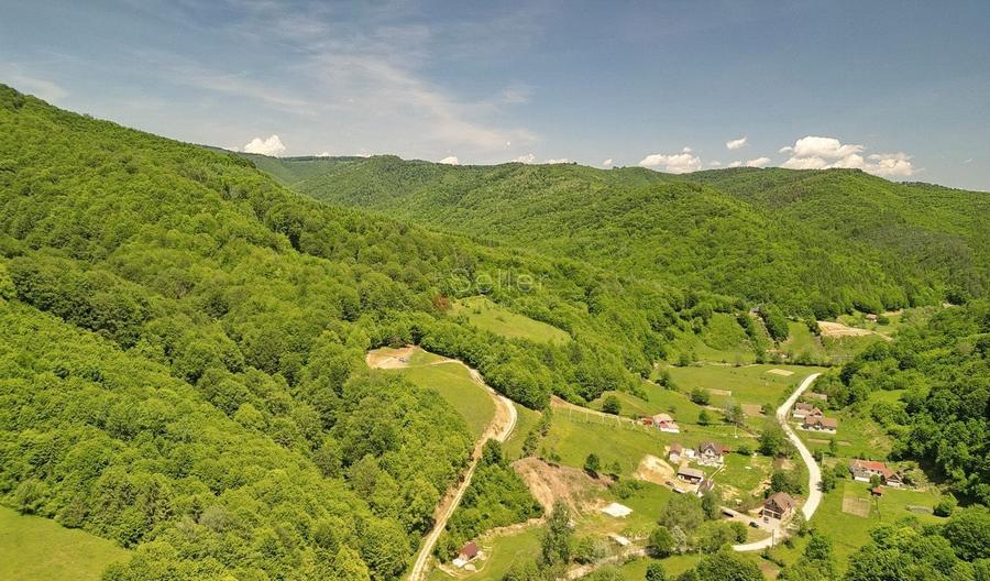 Teren Construcții extravilan de 16000 mp, în Poiana Mărului
