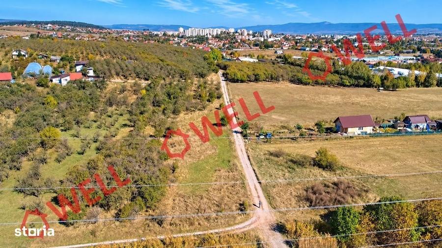 Spațiu comercial, în Central