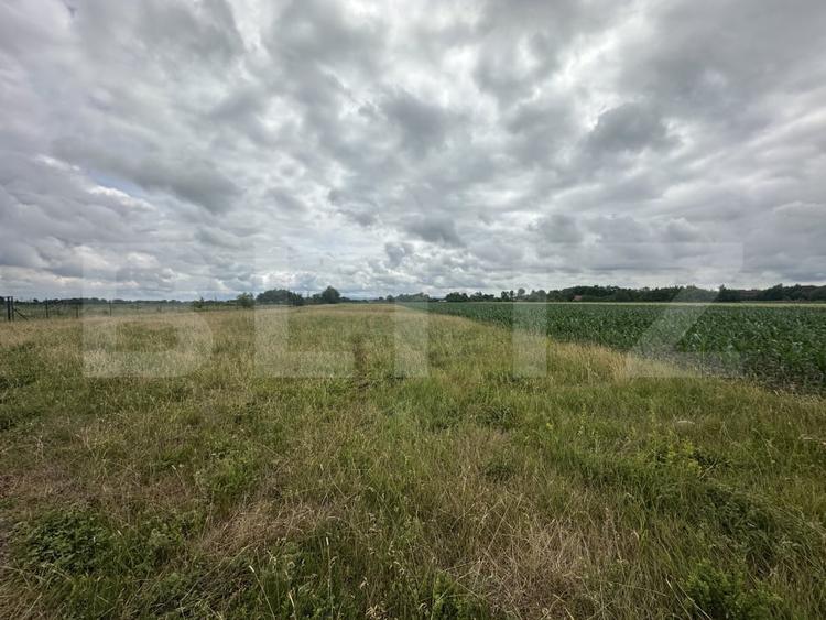 Teren agricol extravilan de 5000 mp, în Amați