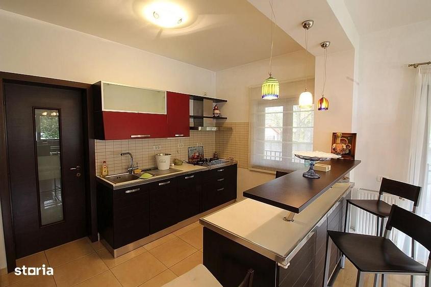 Vila individuala 6 camere cu 553 mp teren vis a vis Padurea Baneasa - 13