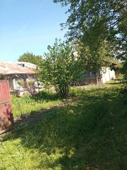 Casă cu 3 camere cu Teren 2588 Mp în Suhaia