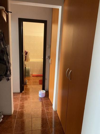 Apartament cu 2 camere decomandat în Nufărul
