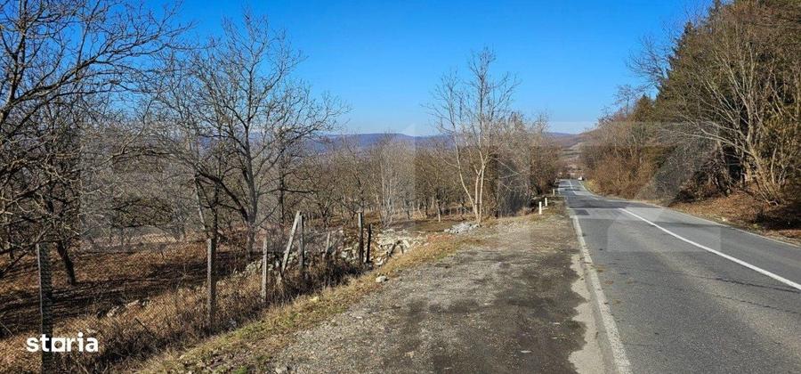 Teren de 30 de ari, Dumitra, 5km de Bistrita - 2