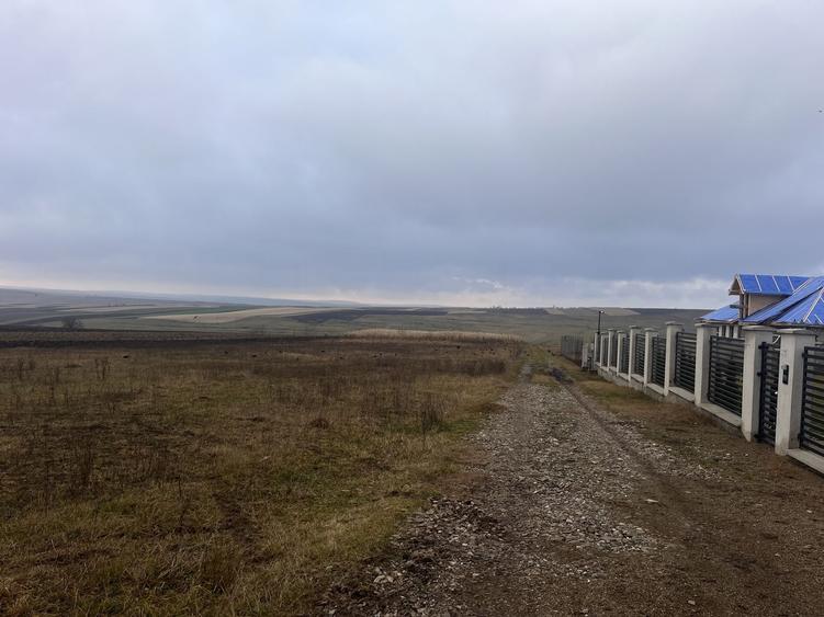 Teren agricol extravilan de 800 mp, în Moara