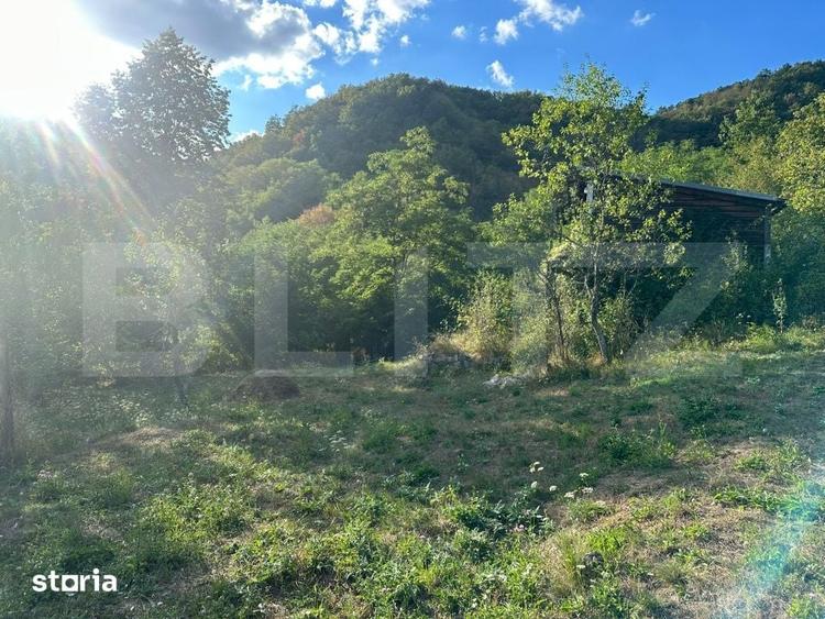 Casă cu 3 camere cu Teren 10900 Mp în Băița