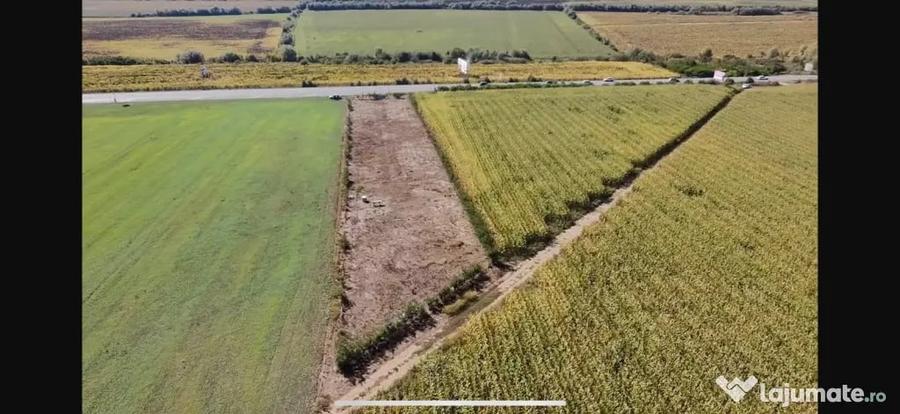 Teren de 3100 mp, în Pătrăuți