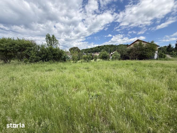 Teren de 1200 mp, în Provița de Sus