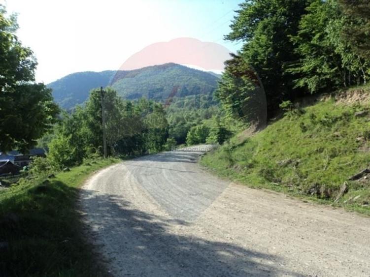 Teren Construcții intravilan de 65313 mp, în Est