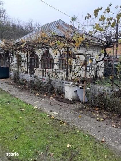 Casa de vanzare - Valea Caselor Dambovita - 3