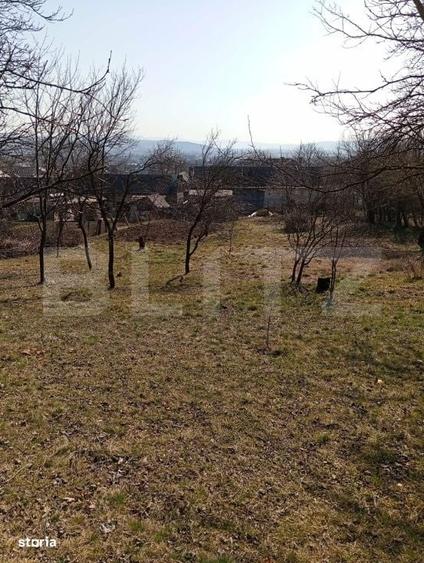 Casă cu 4 camere cu Teren 3100 Mp în Central