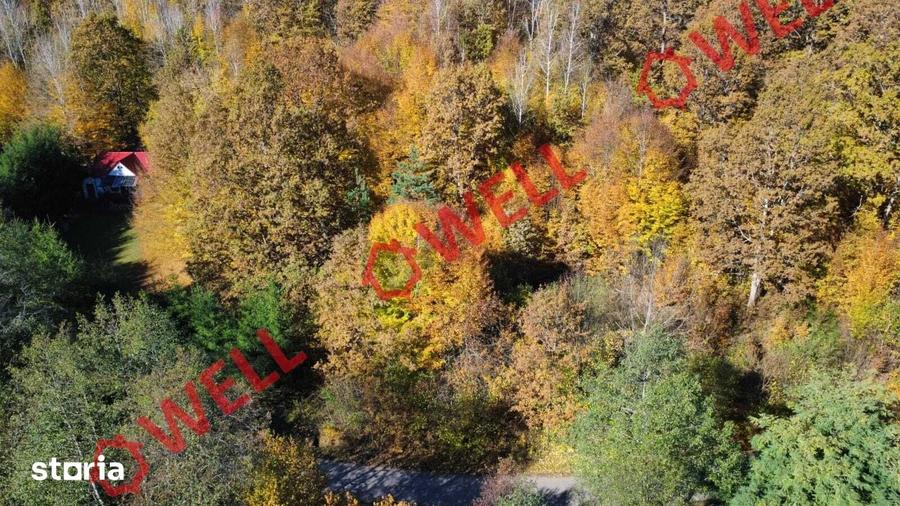 Teren de 3500 mp, în Bățani