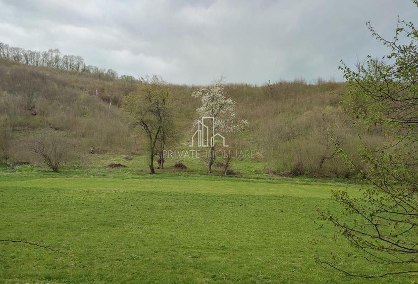 Teren agricol extravilan de 20 mp, în Daneș