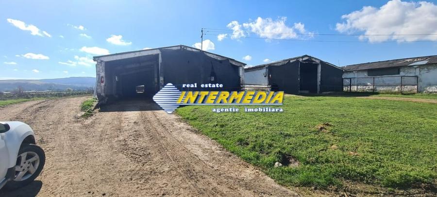 Casă individuală cu 20 camere cu Teren 35000 Mp în Pianu