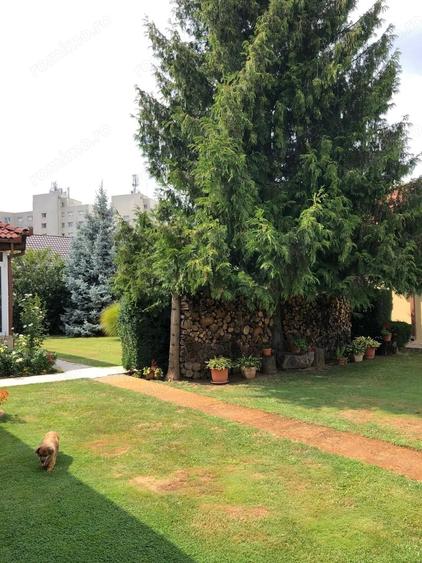 BRASADAS vinde casa cu 7 camere si teren 1100mp in zona Burdea. - 1