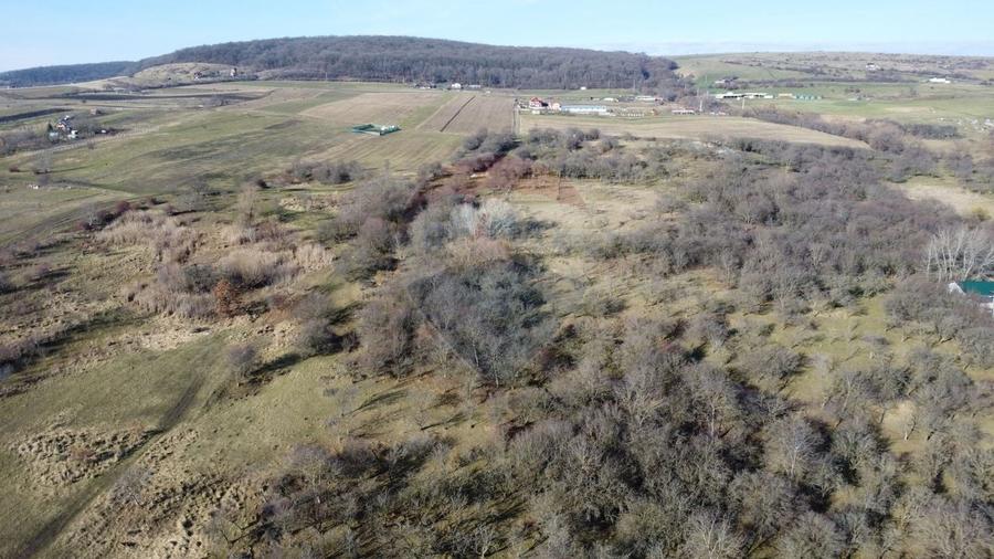 Teren agricol extravilan de 20146 mp, în Dâmbul Rotund