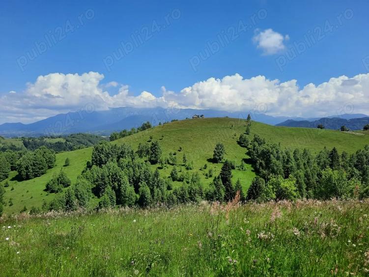 Teren de 40000 mp, în Șirnea