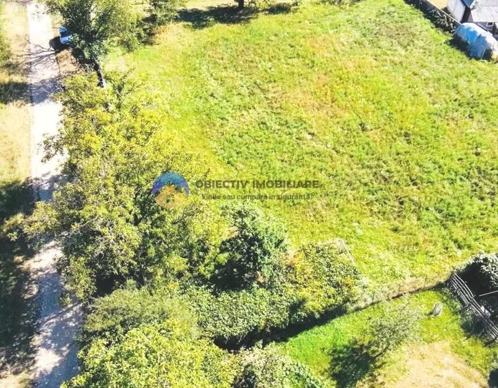 Teren de 3260 mp, în Chintinici
