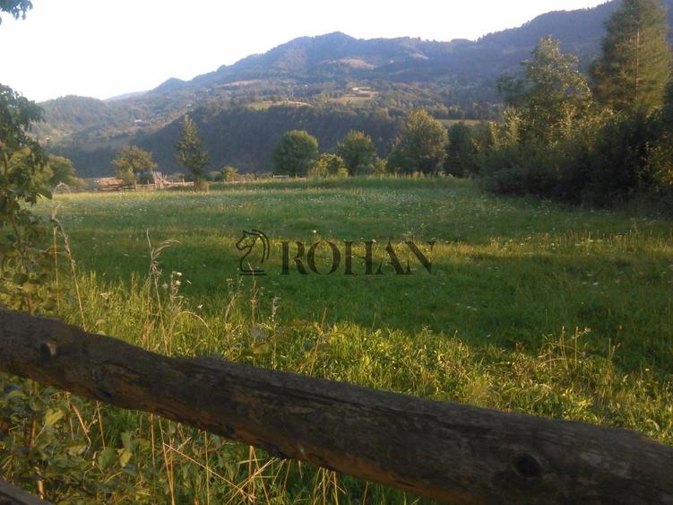 Teren intravilan de 5360 mp, în Tiha Bârgăului