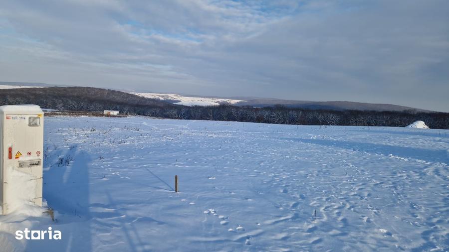 Teren de 3000 mp, în Nord