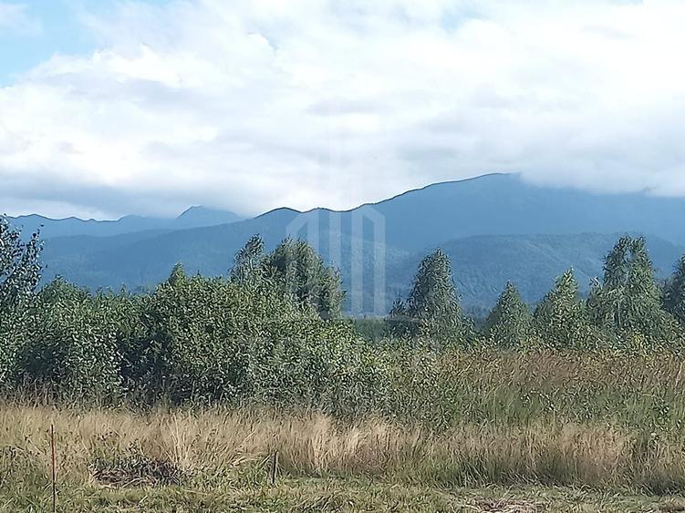 Teren extravilan de 2500 mp, în Porumbacu de Jos