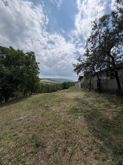 Teren Construcții intravilan de 2200 mp, în Ortelec