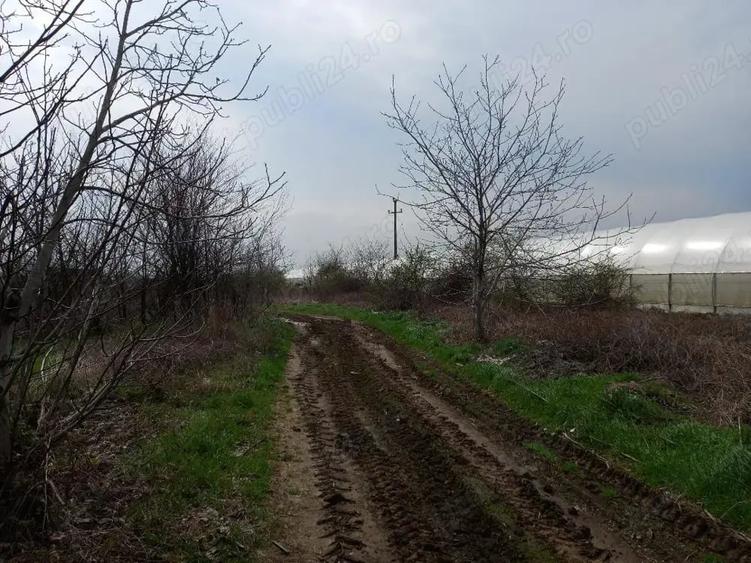 Teren în Varlaam