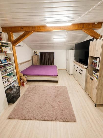 Apartament cu 4 camere decomandat în Plantelor
