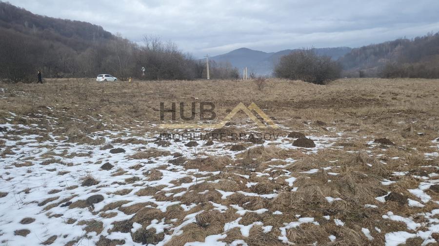 Teren agricol extravilan de 10035 mp, în Cheile Râșnoavei