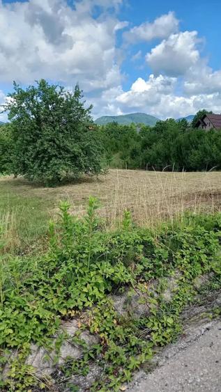 Teren de 100 mp, în Baia Sprie