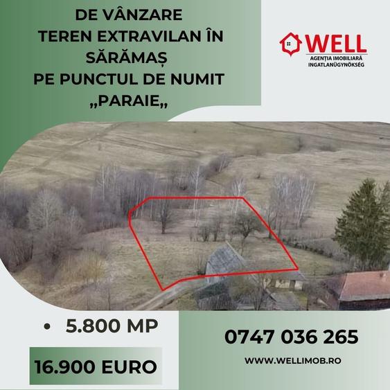 Teren extravilan de 5800 mp, în Sărămaș