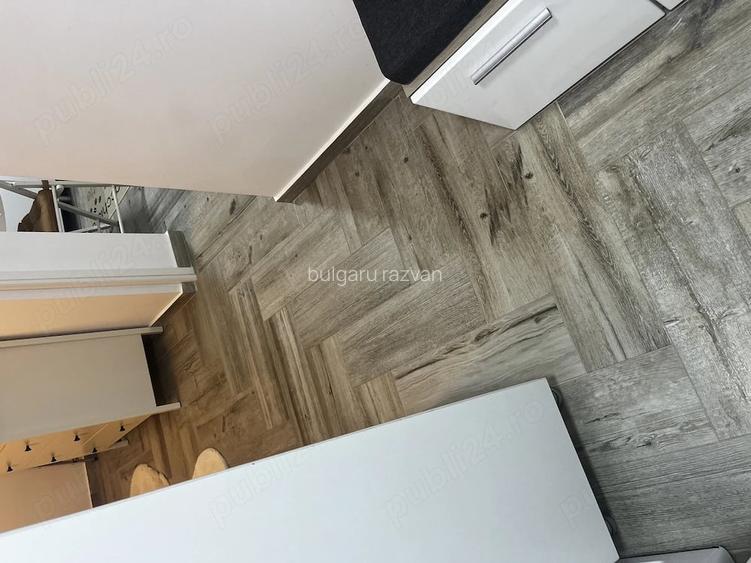 Apartament 1 camera demisol