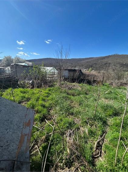 Casă cu 3 camere cu Teren 3843 Mp în Ciucurova