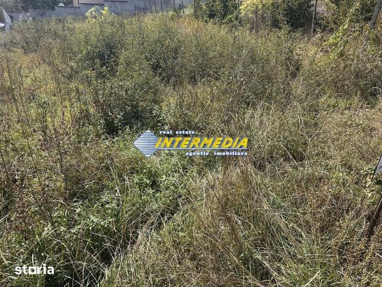 Teren intravilan I de vanzare I in Cetate I zona superba I 500 mp I - 2