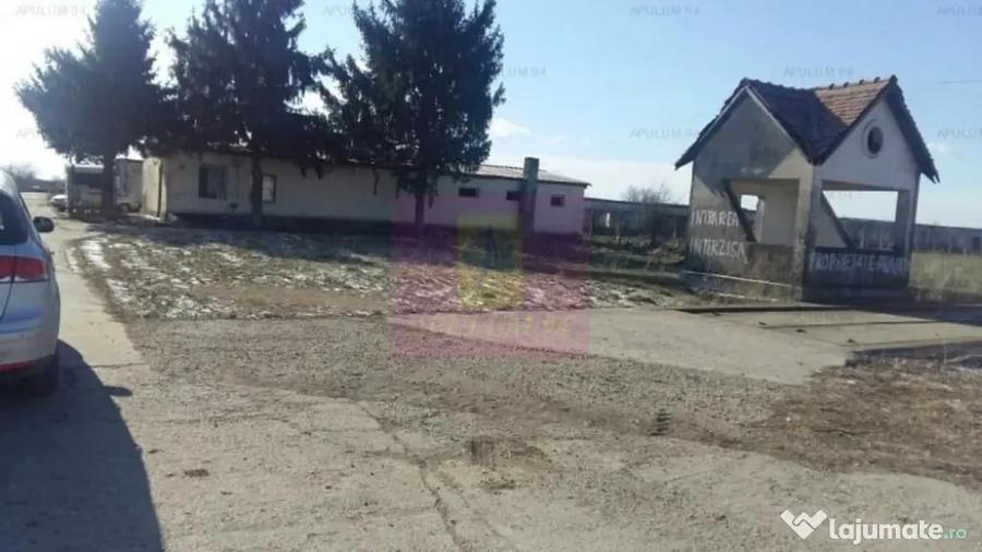 Teren în Balotești