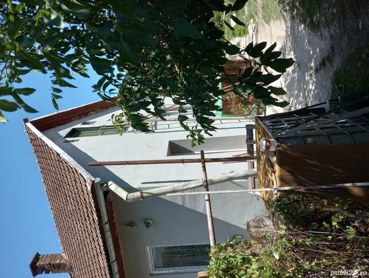 Casă cu 3 camere în Central