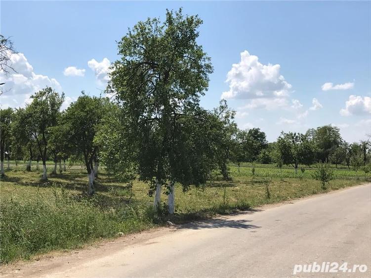 Teren de 3000 mp, în Margina
