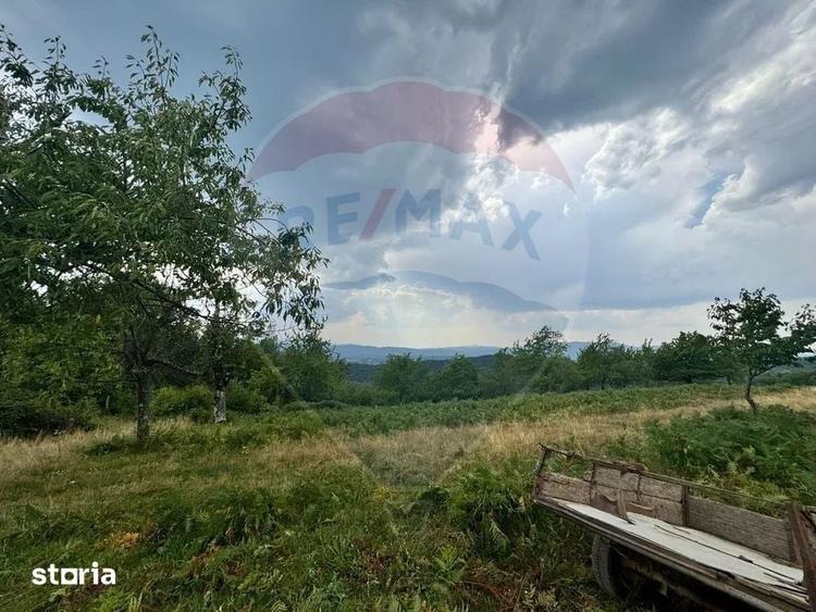 Teren de 6521 mp, în Hălmagiu