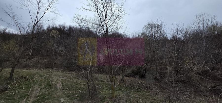 Teren agricol extravilan de 1006 mp, în Brebu