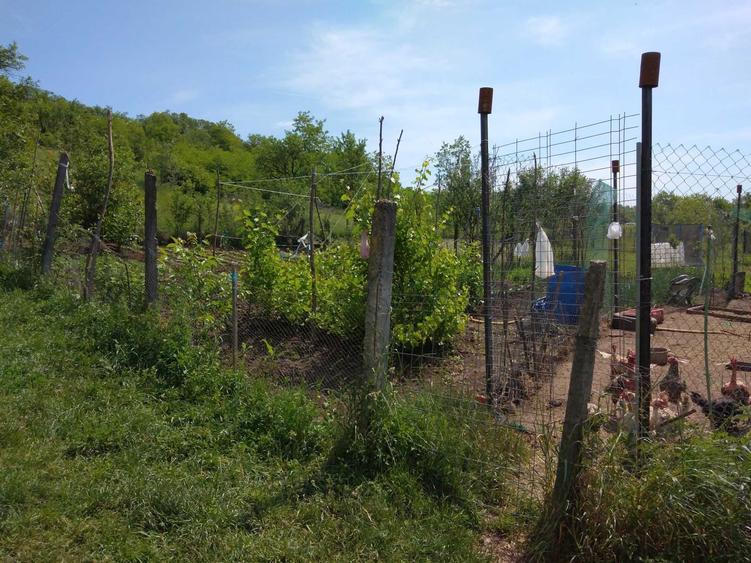 Casă cu 3 camere în Sânpaul
