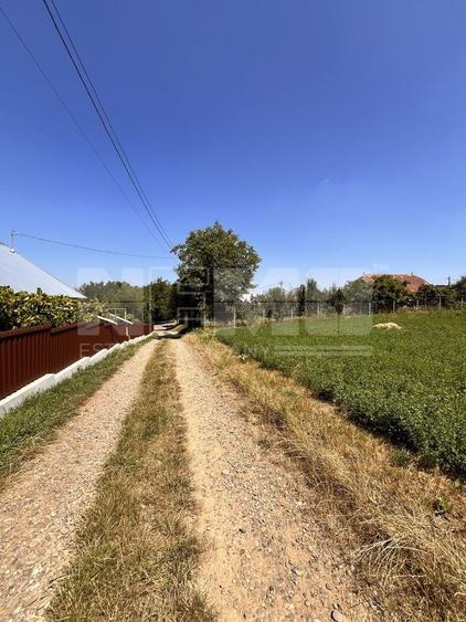 Teren agricol intravilan de 2526 mp, în Tișăuți