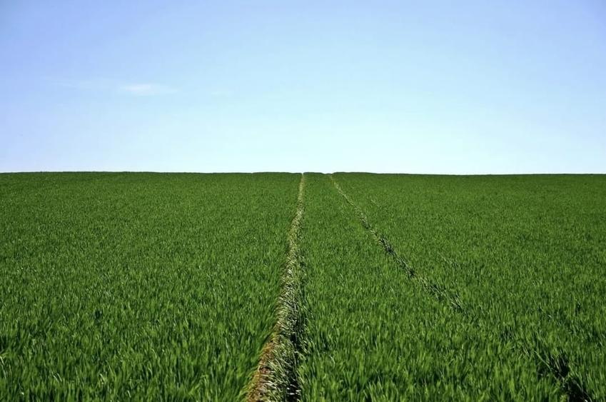 Teren agricol extravilan de 436 mp, în Însurăței