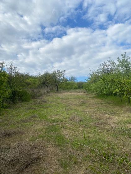 Casă cu 4 camere cu Teren 2215 Mp în Uileacu de Munte