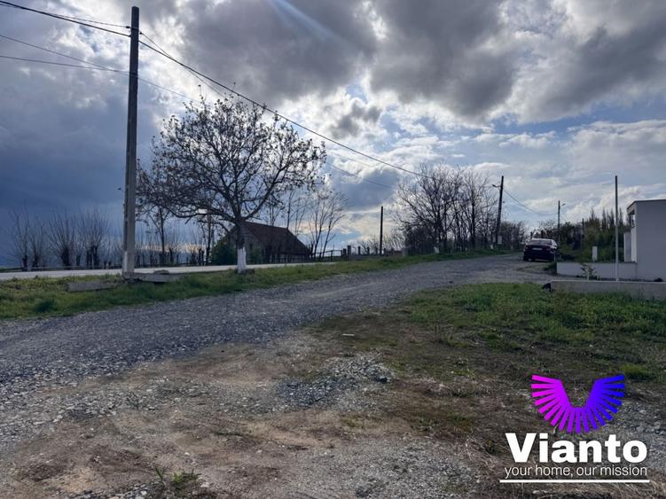 Teren Construcții intravilan de 650 mp, în Daia