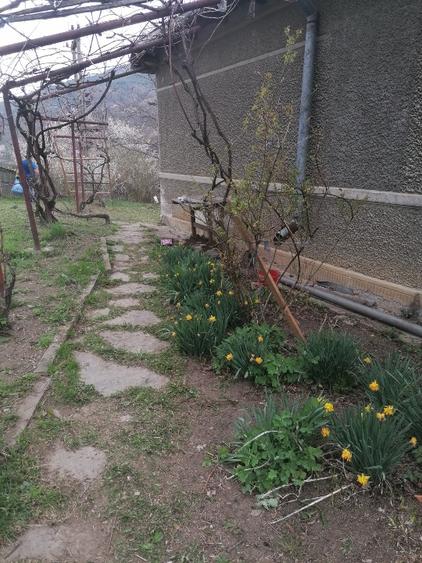 Casă individuală cu 5 camere cu Teren 1100 Mp în Lopătari