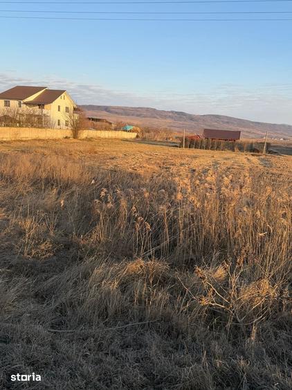 Teren de 1000 mp, în Buhoci