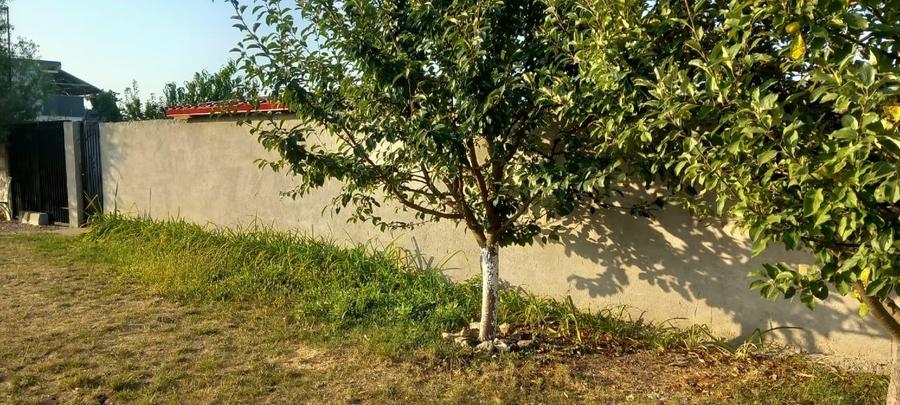 Casă individuală cu 4 camere cu Teren 509 Mp în Frumușani